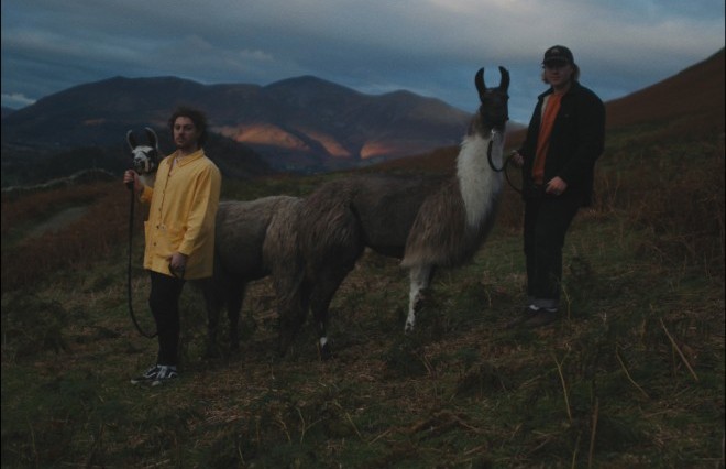 Memorial take some llamas for a walk for a new video