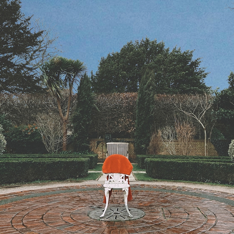 Time Comes in Roses Release Artwork