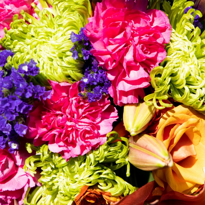 Release Artwork: Williston, ND