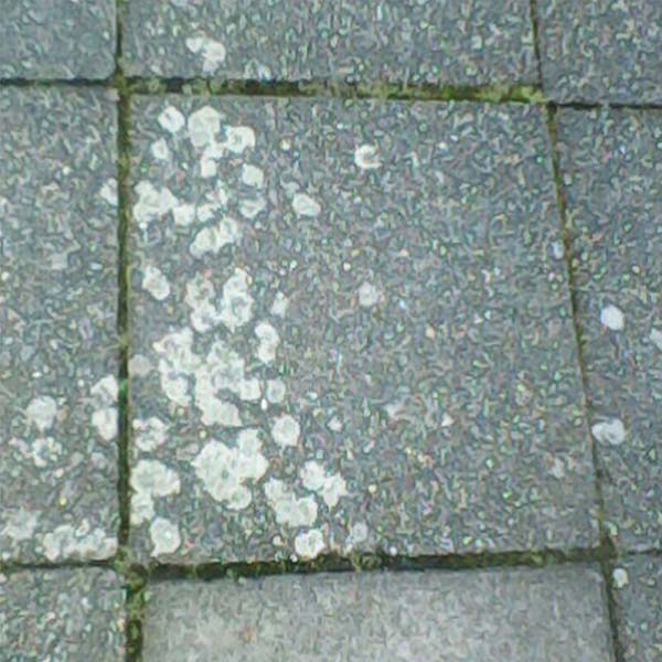 Head & Shoulder Release Artwork