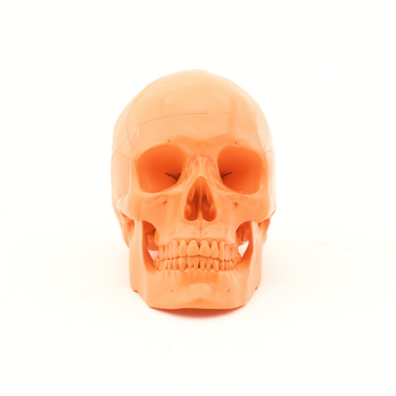 No Peace (Sine of 4 Remix) Release Artwork