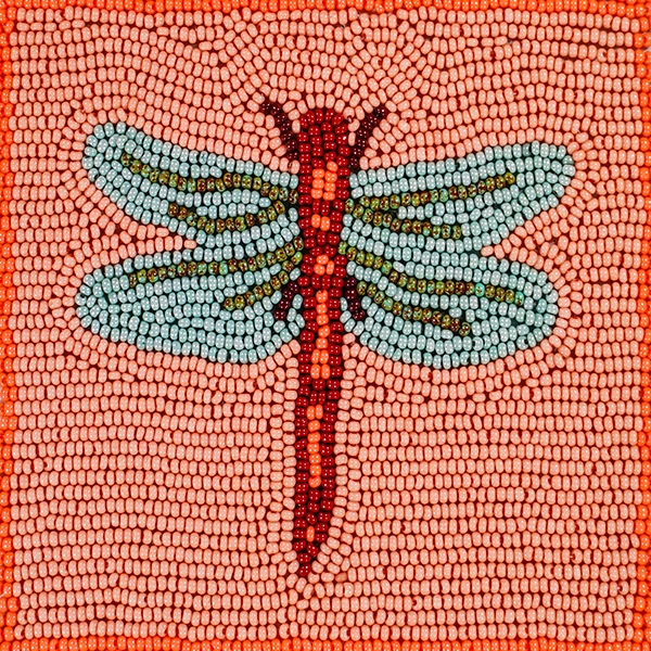 Dragonfly Release Artwork