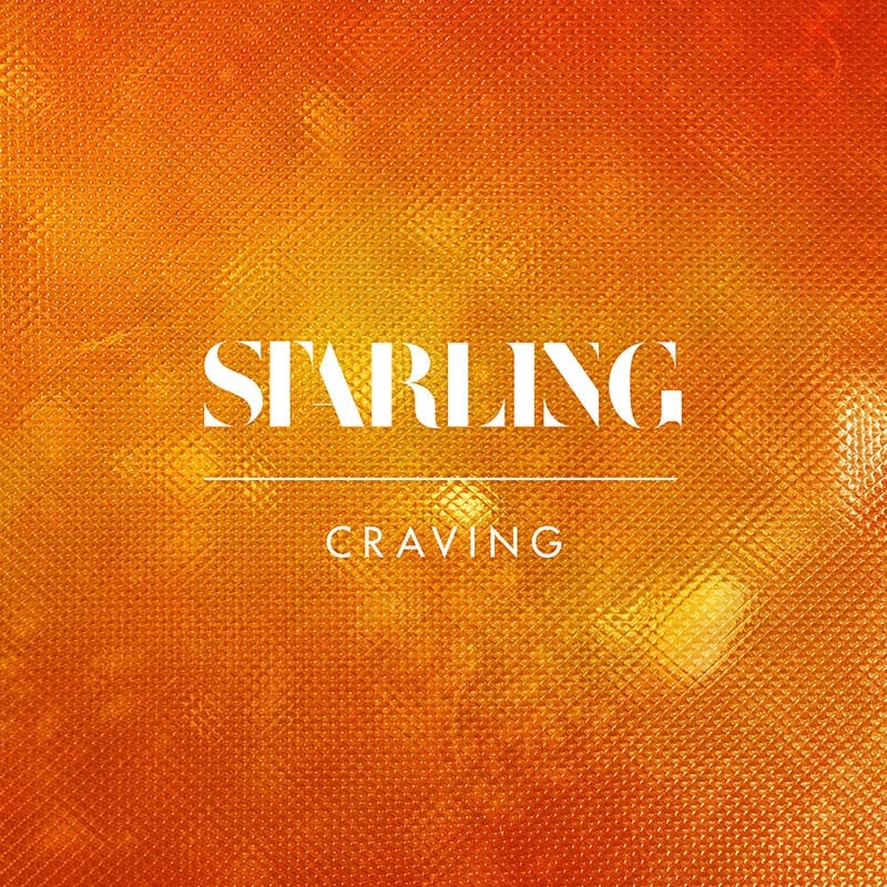 Craving Release Artwork