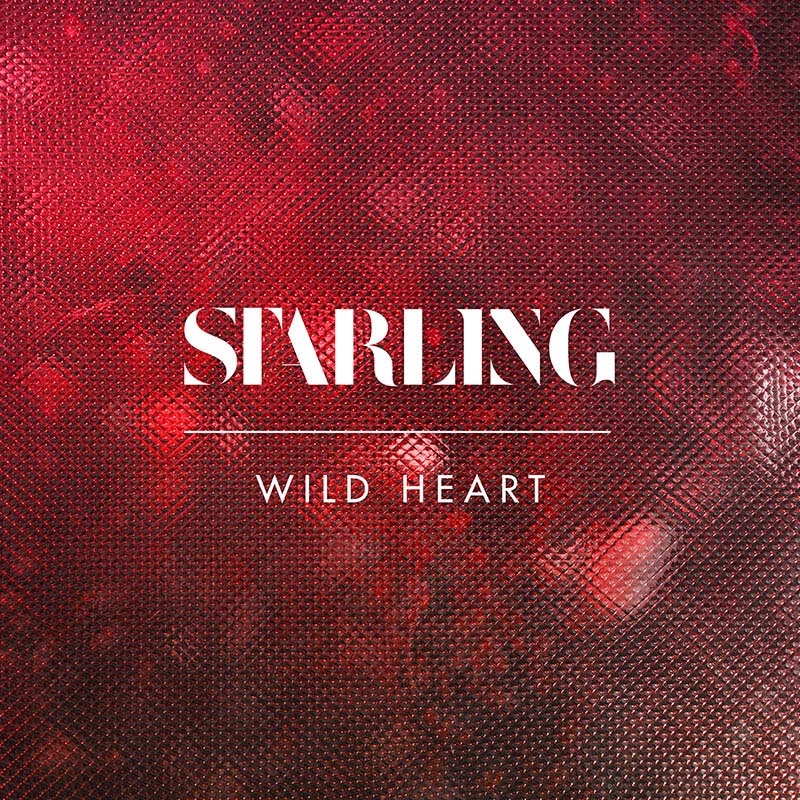 Wild Heart Release Artwork