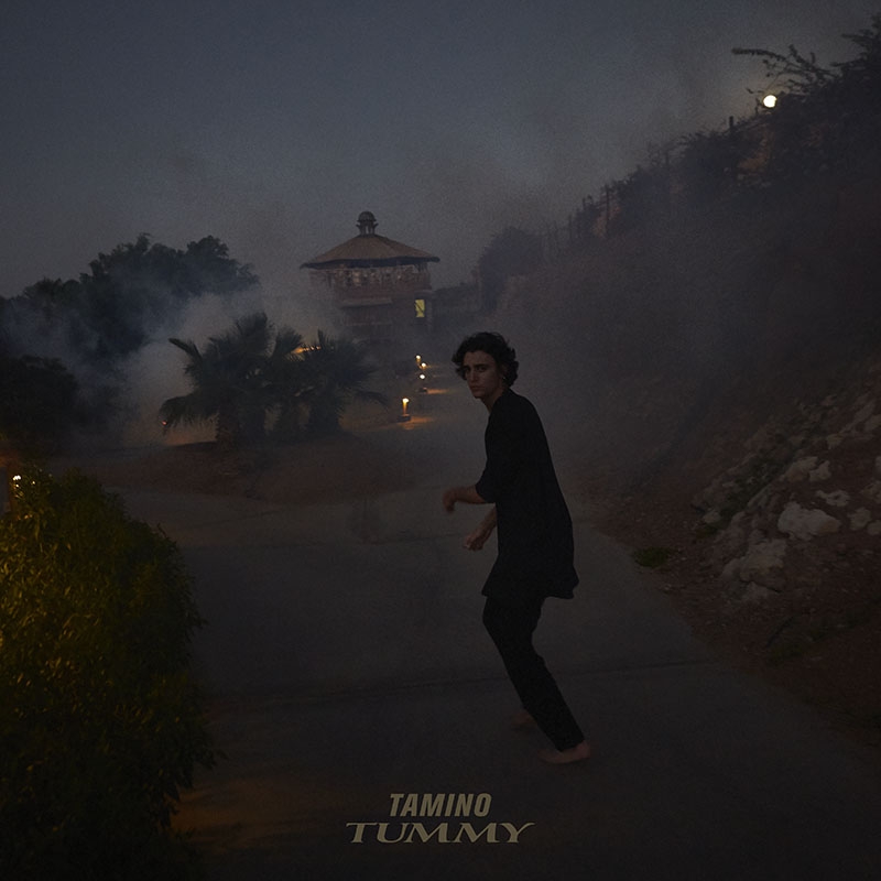 Tummy Release Artwork