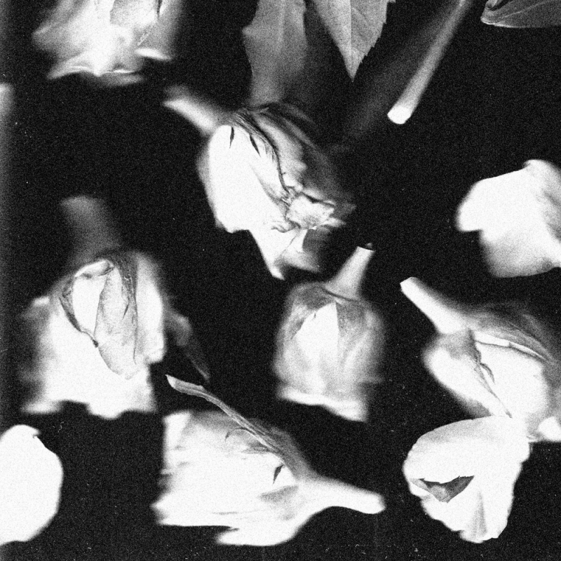 Release Artwork: I Won’t Run (From Love)