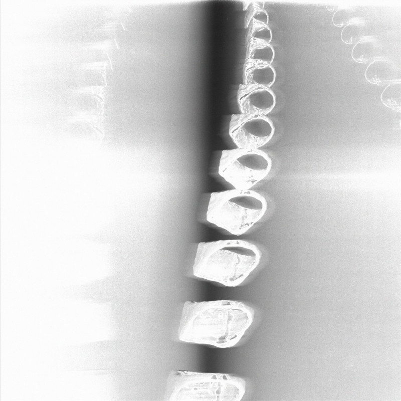 Release Artwork: Show Me How To Live Again