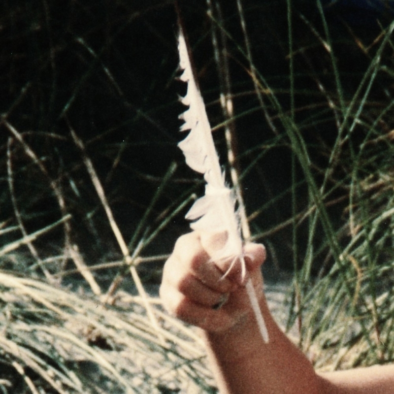 Poppy Release Artwork